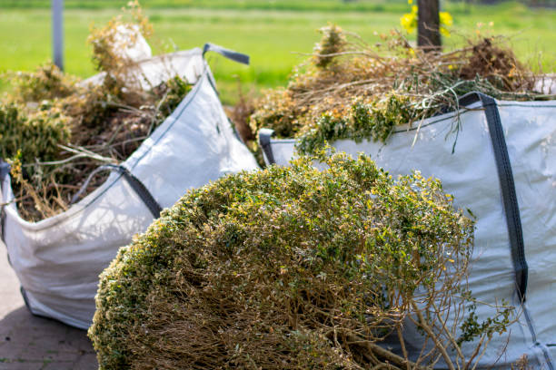 Best Estate Cleanout Services  in Nicholson, GA